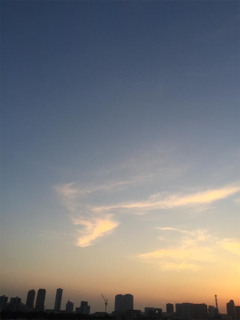 f:id:cocopelli-0806:20170619185926p:image
