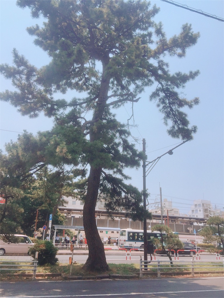 f:id:cocopelli-0806:20170709105055j:image