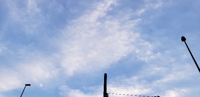 f:id:cocoro-sketch:20210902122637j:image f:id:cocoro-sketch:20210902122637j:image