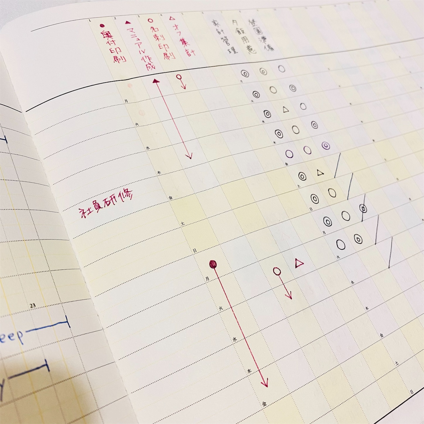 f:id:cocoro-sos:20231112123148j:image f:id:cocoro-sos:20231112123148j:image