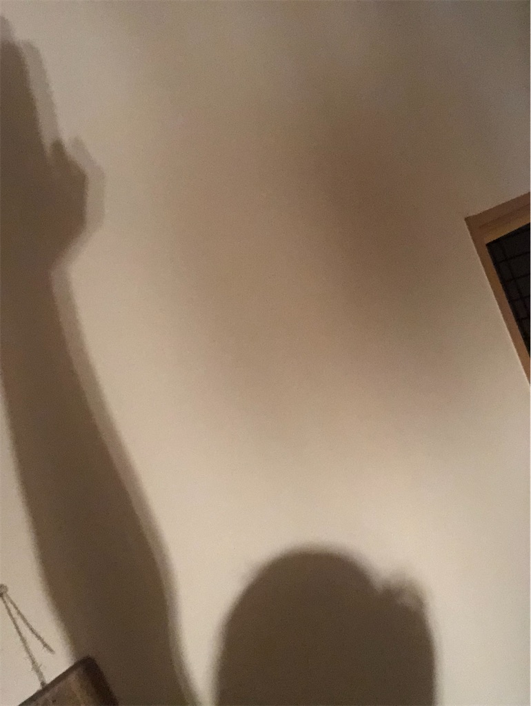 f:id:cocoro28:20200509181119j:image f:id:cocoro28:20200509181119j:image
