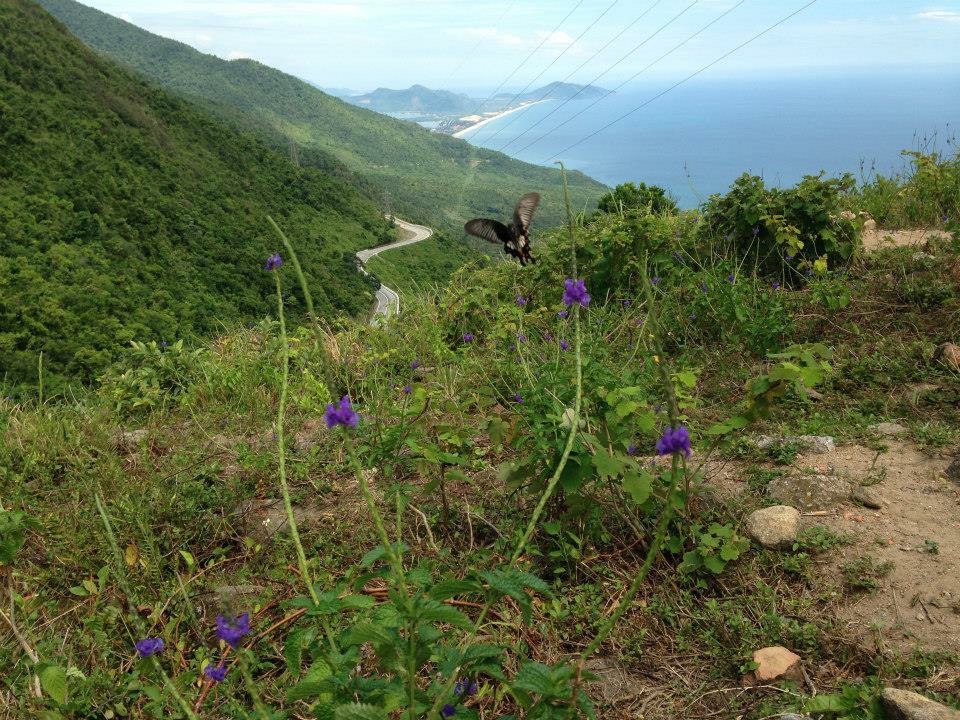f:id:cocoroha:20170209120606j:plain f:id:cocoroha:20170209120606j:plain