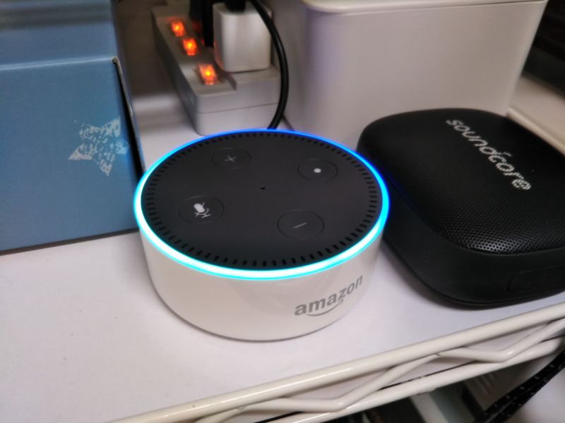 アレクサが電源入るのに青く点滅するだけでリセットもできなくなった 対応と原因 こころもちろん たるをしる
