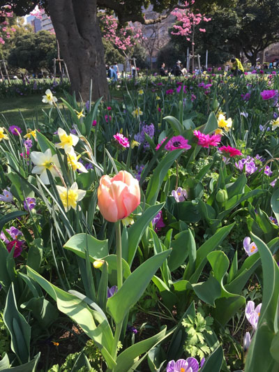 f:id:cocorone2018:20190327225748j:plain