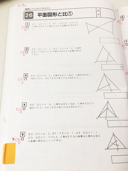 f:id:cocorone2018:20190629121334j:plain