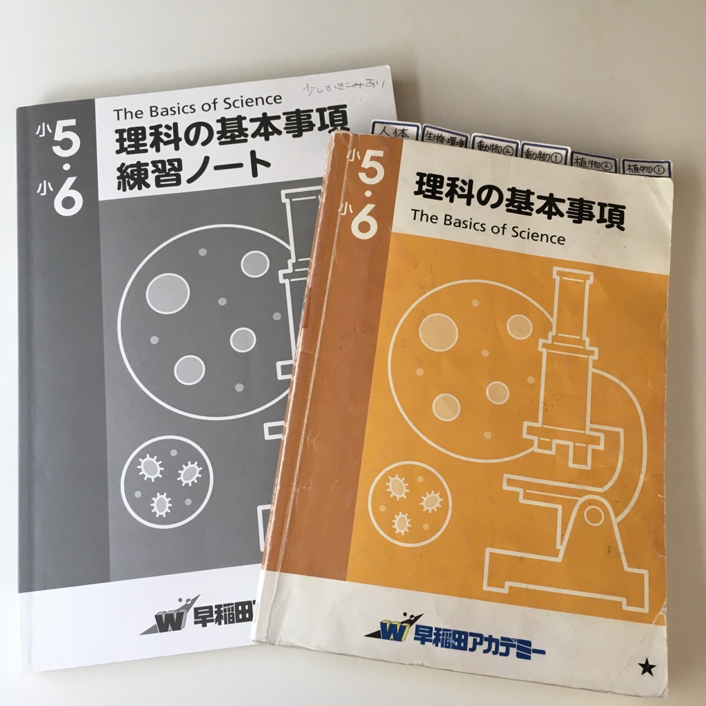 f:id:cocorone2018:20191005120507j:plain