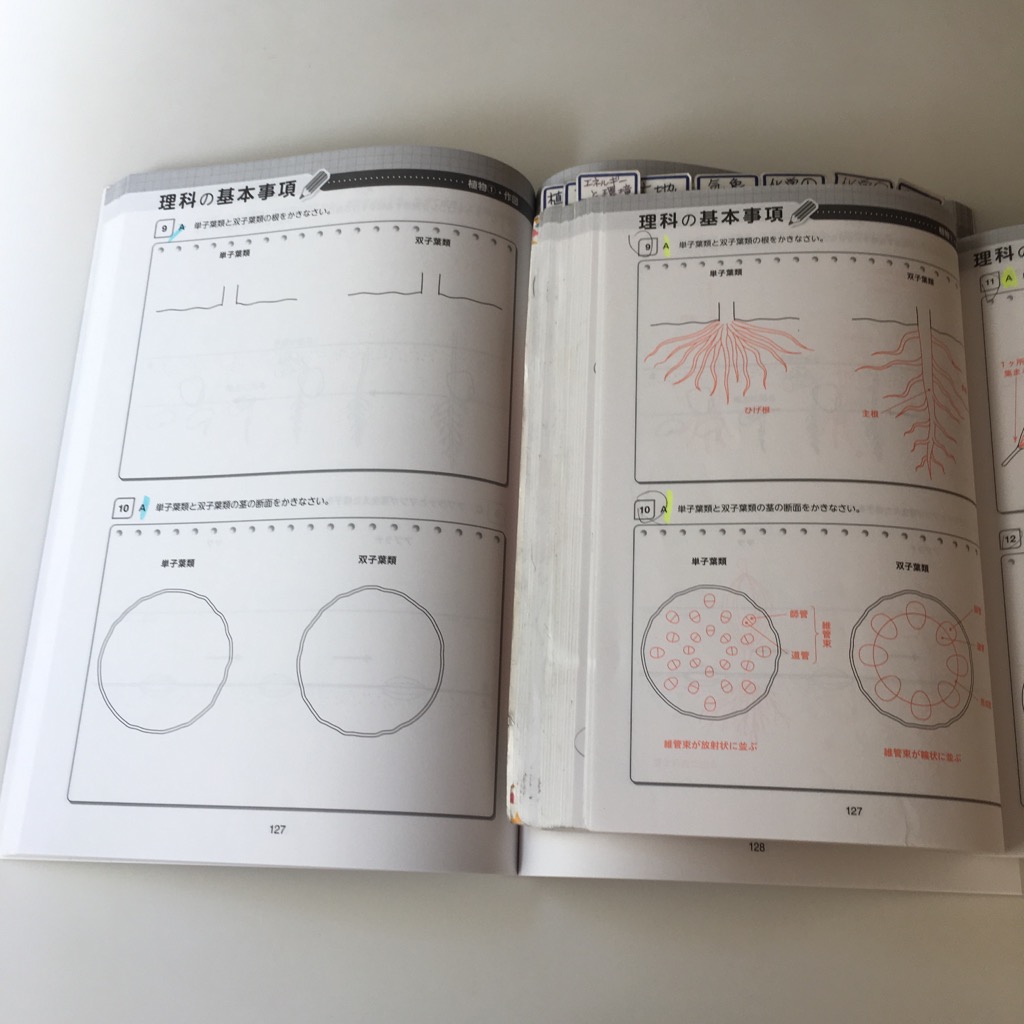 f:id:cocorone2018:20191005120655j:plain