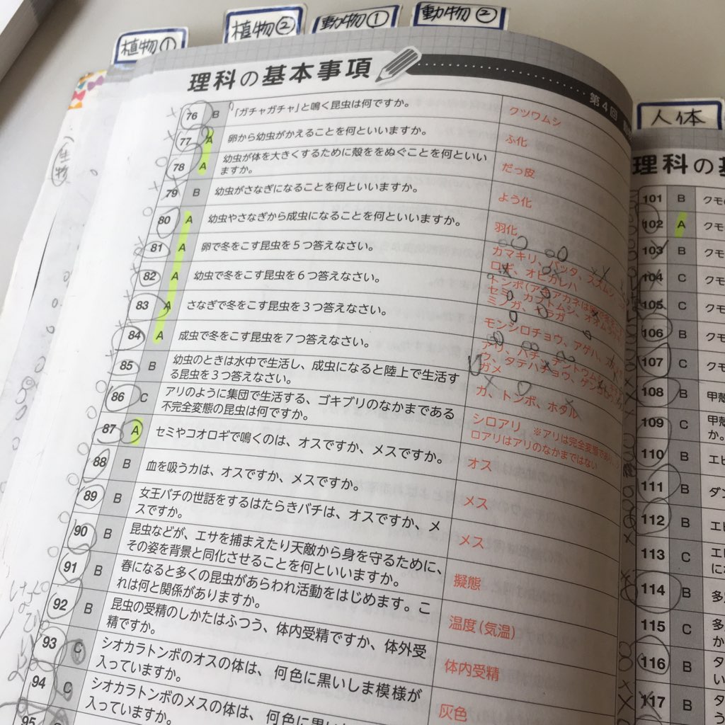 f:id:cocorone2018:20191005121256j:plain