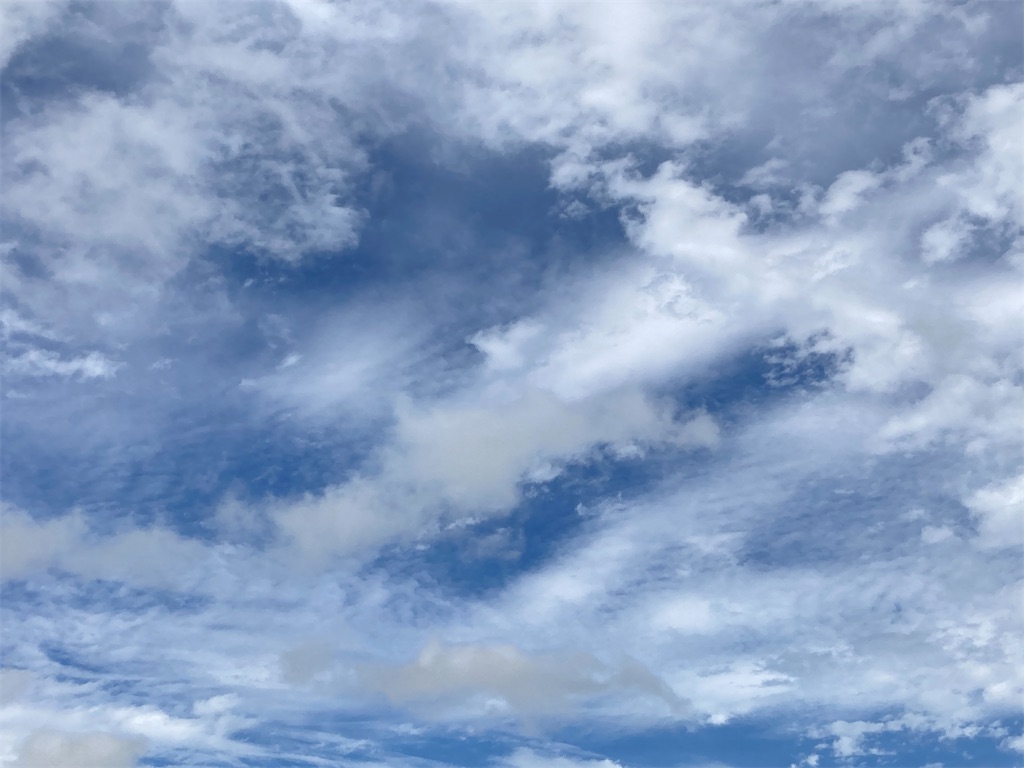f:id:cocorony:20210910151542j:image f:id:cocorony:20210910151542j:image