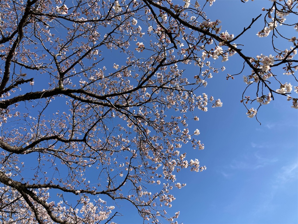 f:id:cocorony:20220405153341j:image f:id:cocorony:20220405153341j:image