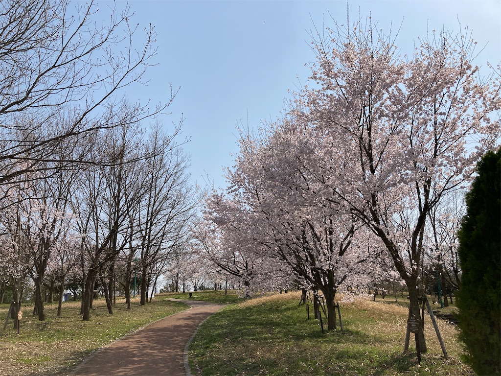 f:id:cocorony:20220409205205j:image f:id:cocorony:20220409205205j:image