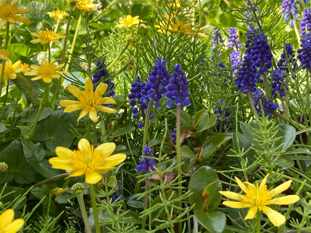 f:id:cocorony:20220409205607j:image f:id:cocorony:20220409205607j:image