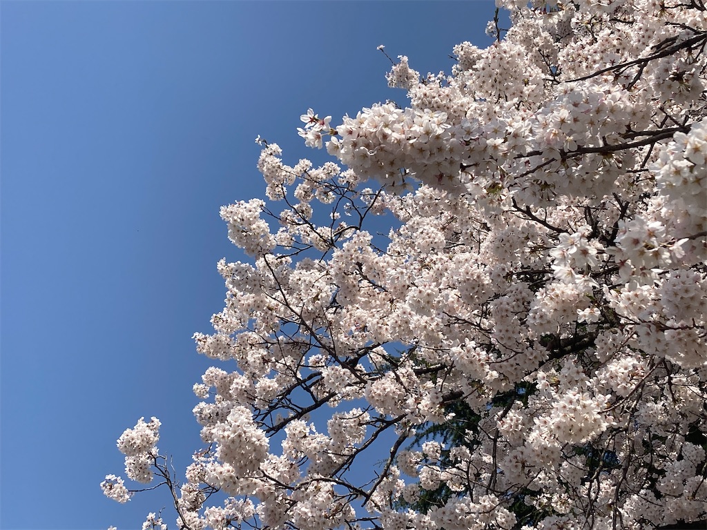 f:id:cocorony:20220410184531j:image f:id:cocorony:20220410184531j:image