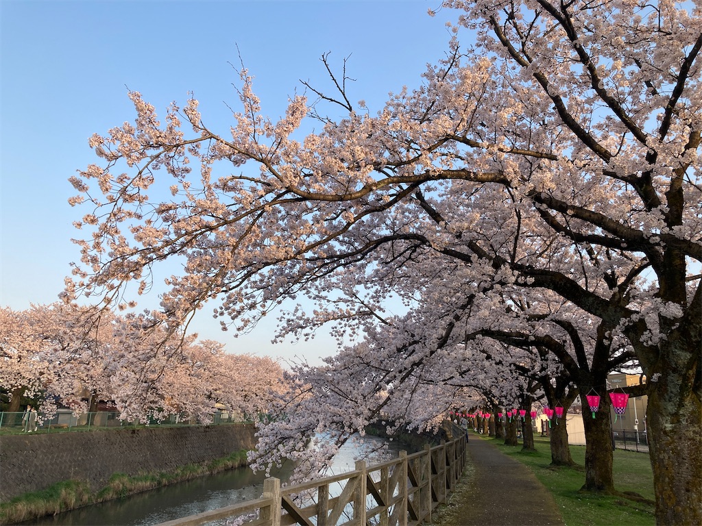 f:id:cocorony:20220410185040j:image f:id:cocorony:20220410185040j:image