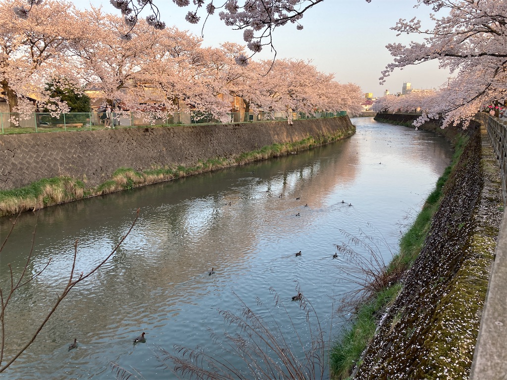 f:id:cocorony:20220410185042j:image f:id:cocorony:20220410185042j:image