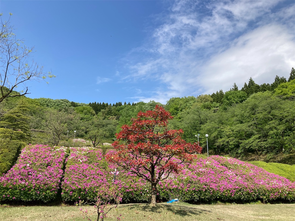 f:id:cocorony:20220502161417j:image f:id:cocorony:20220502161417j:image