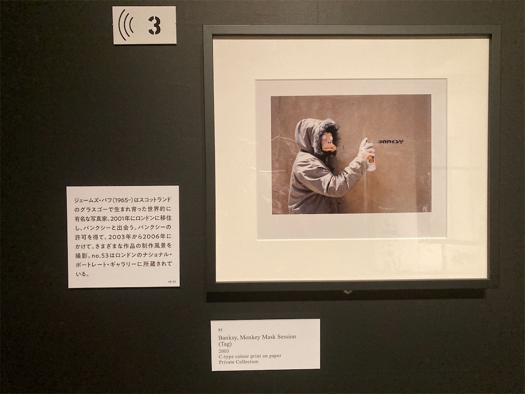 【爆売りセール開催中！】 バンクシー Banksy MONKEY AP（日本で TAG SESSION MASK 芸術写真