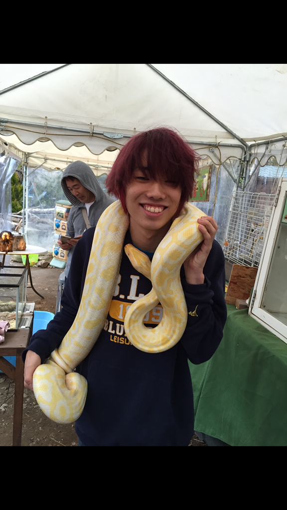 f:id:cocovibes:20181228132255p:plain