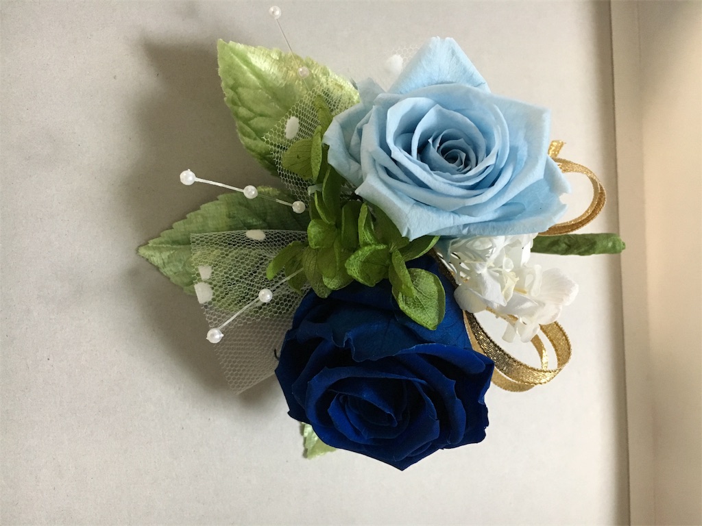f:id:cocowanko:20170215131031j:image f:id:cocowanko:20170215131031j:image