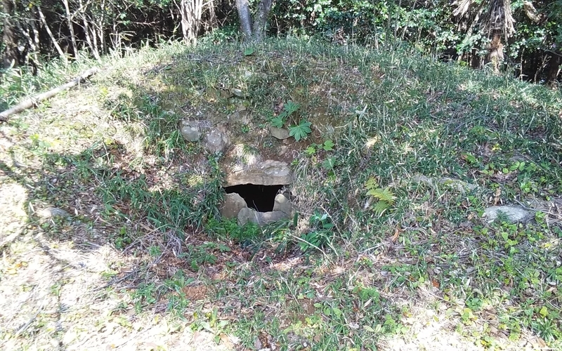 f:id:cocoyatourism:20210711211525j:plain