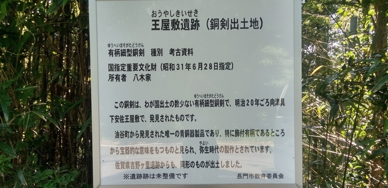 f:id:cocoyatourism:20210711213013j:plain