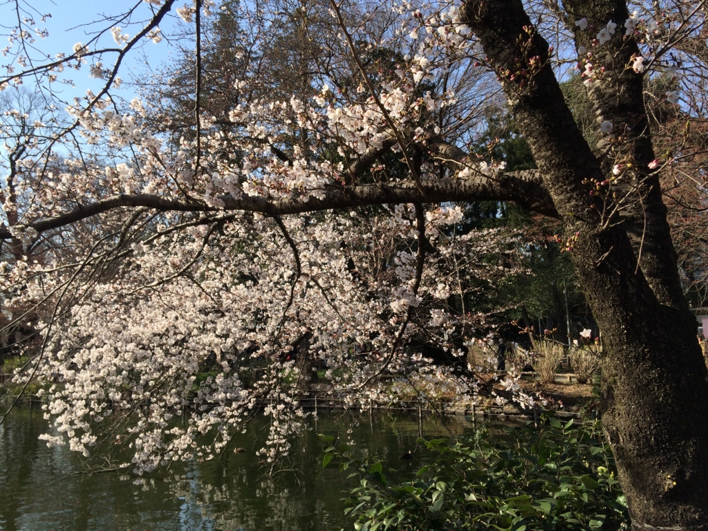 f:id:coden:20160401163622j:plain f:id:coden:20160401163622j:plain