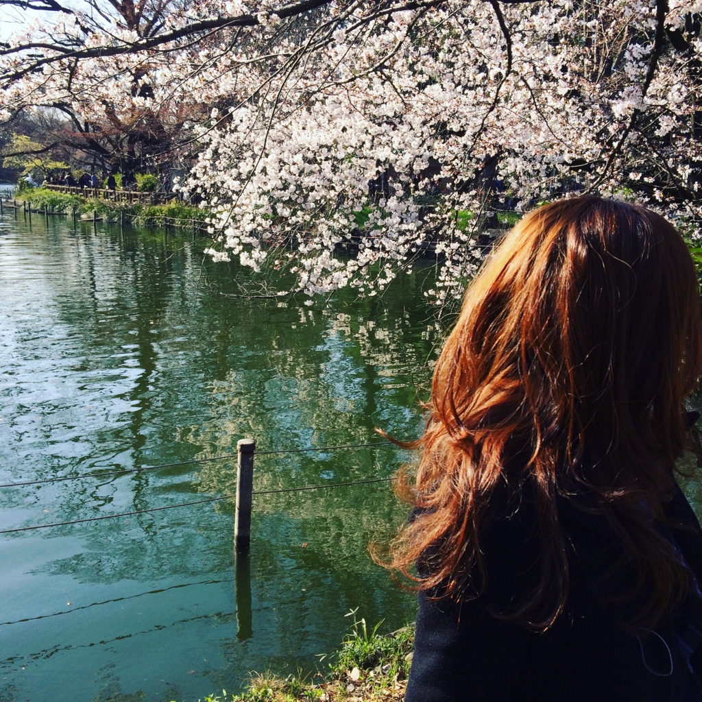 f:id:coden:20160404160204j:plain