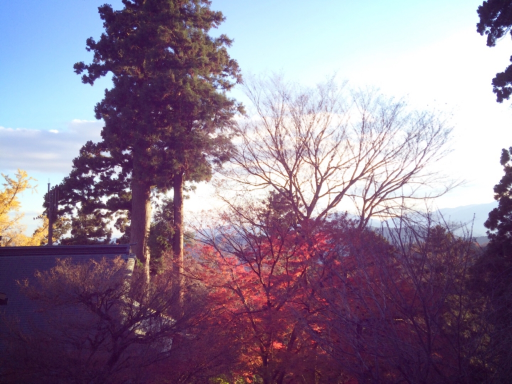 f:id:coden:20161212135945j:plain