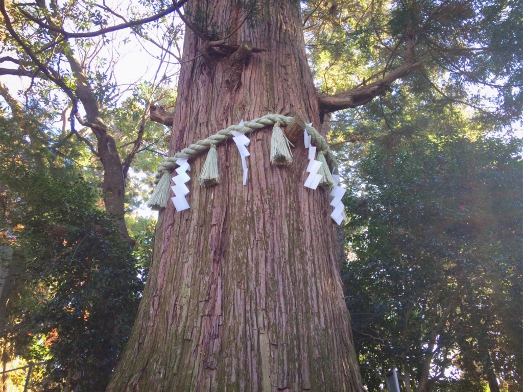 f:id:coden:20161212140800j:plain