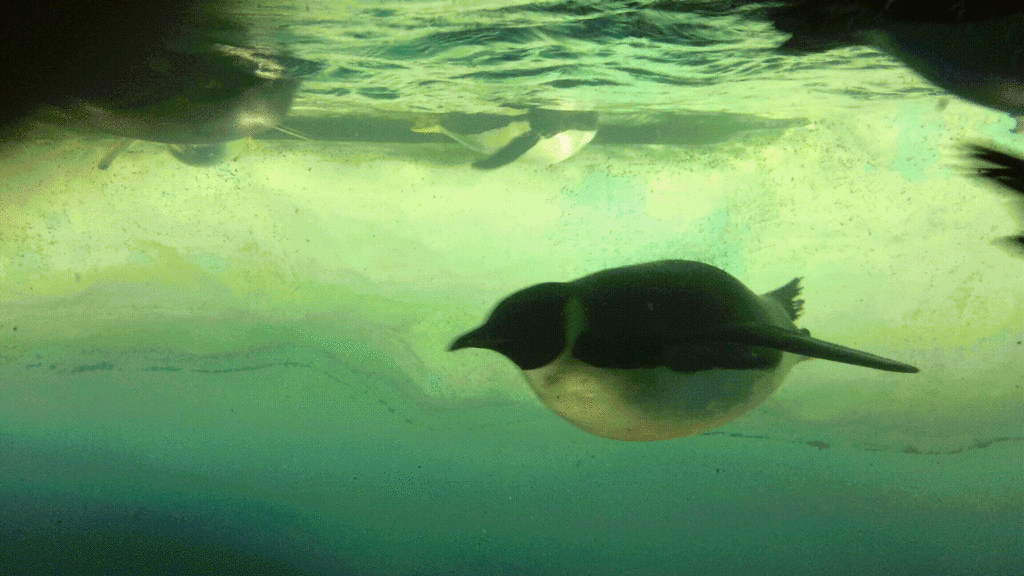 f:id:coden:20170309141247g:plain