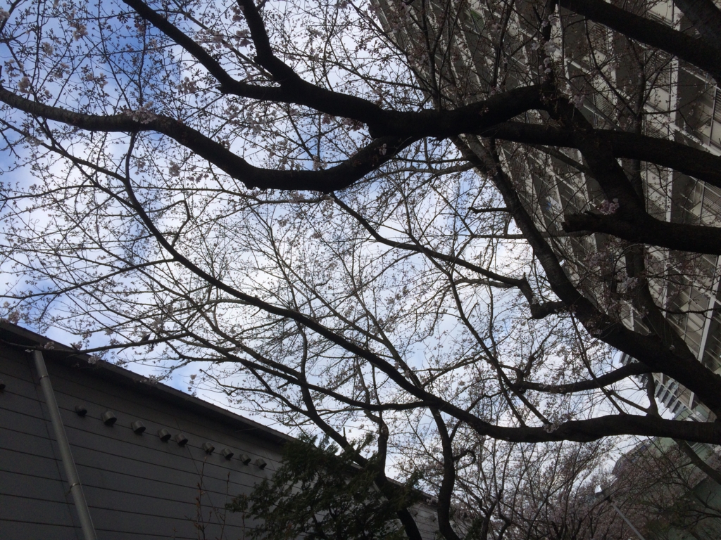 f:id:coden:20170403164017j:plain f:id:coden:20170403164017j:plain