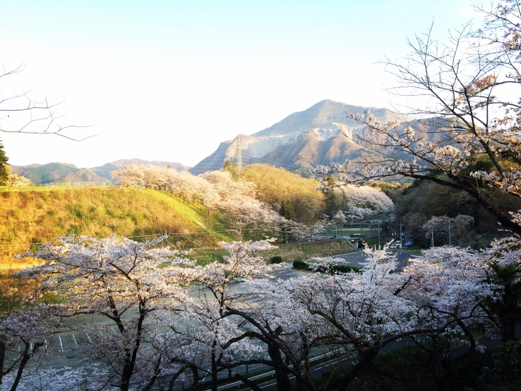 f:id:coden:20170417104103j:plain f:id:coden:20170417104103j:plain