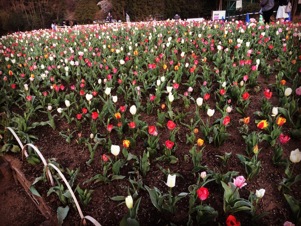 f:id:coden:20170417104152j:plain f:id:coden:20170417104152j:plain