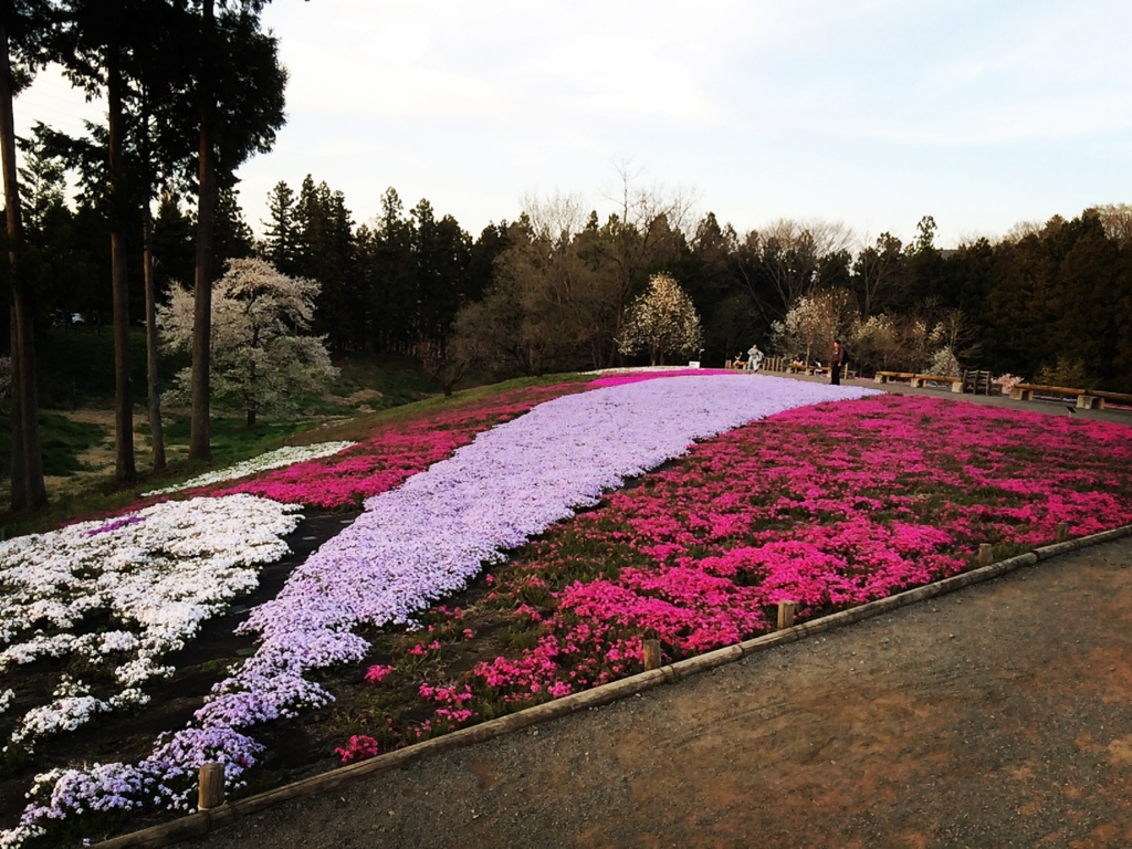 f:id:coden:20170417104246j:plain f:id:coden:20170417104246j:plain