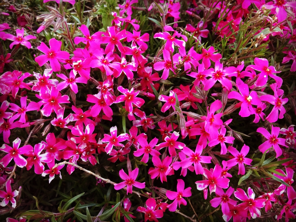 f:id:coden:20170417104350j:plain f:id:coden:20170417104350j:plain