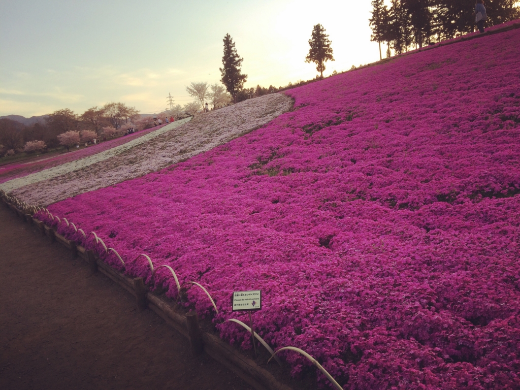 f:id:coden:20170417104855j:plain f:id:coden:20170417104855j:plain