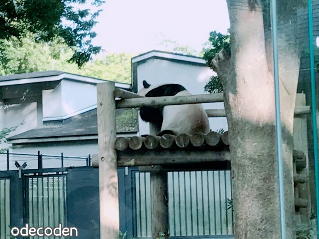 f:id:coden:20171004130939j:plain