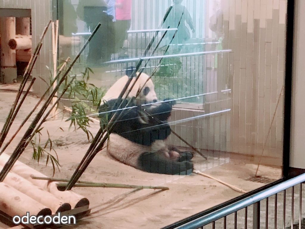 f:id:coden:20171004131009j:plain