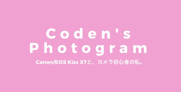 f:id:coden:20180113091954p:plain f:id:coden:20180113091954p:plain