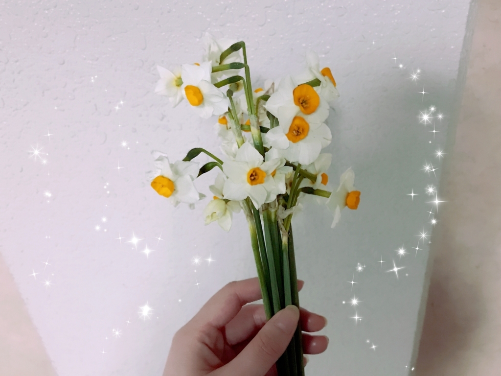 f:id:coden:20180124160324j:plain