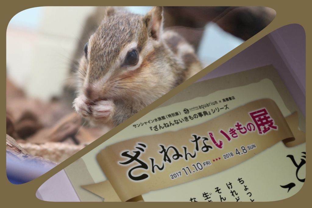 f:id:coden:20180305151805j:plain