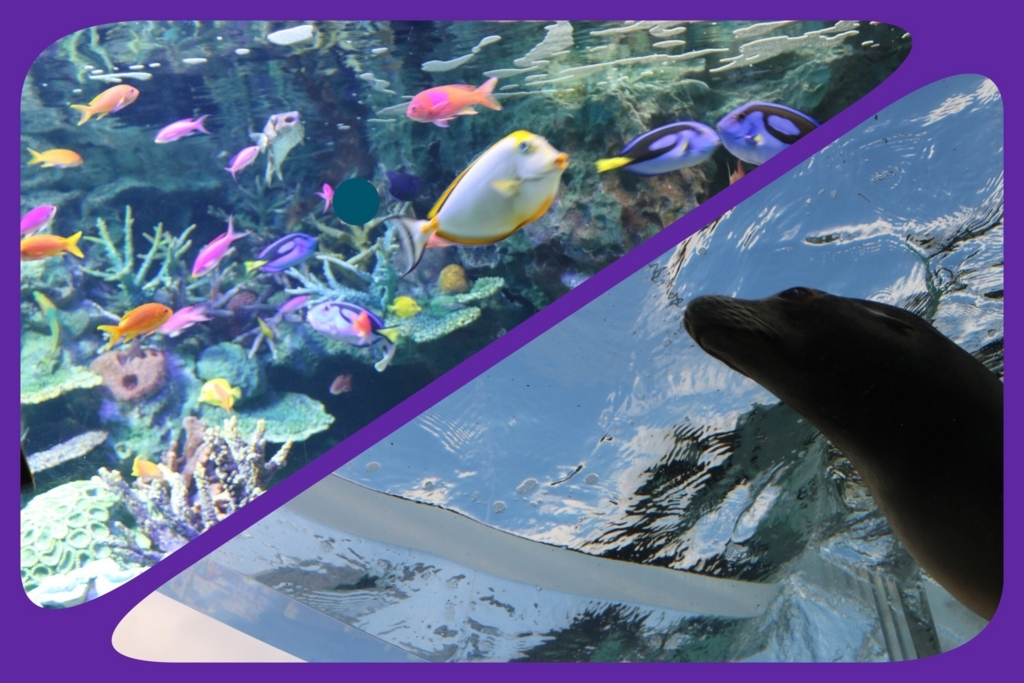 f:id:coden:20180307130922j:plain f:id:coden:20180307130922j:plain