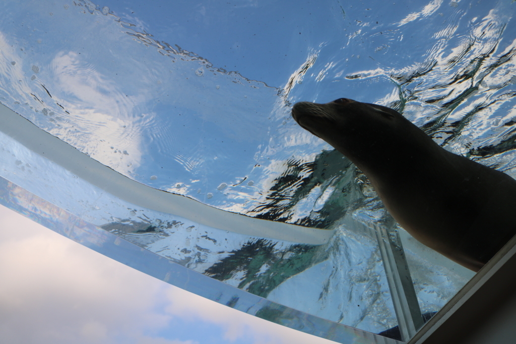 f:id:coden:20180307132450j:plain f:id:coden:20180307132450j:plain