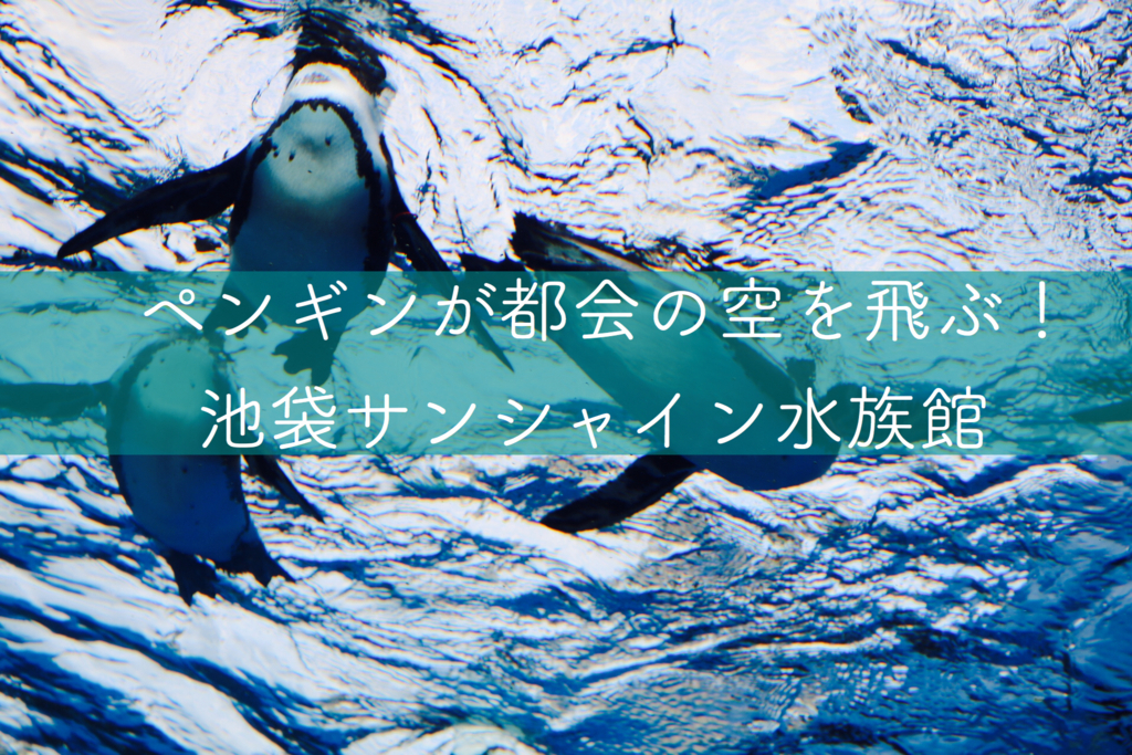 f:id:coden:20180307164543j:plain
