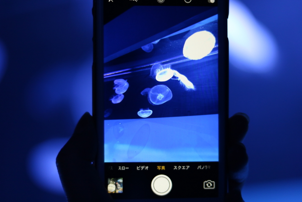 f:id:coden:20180319142322j:plain f:id:coden:20180319142322j:plain