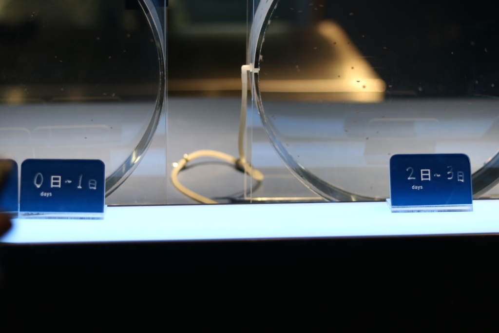 f:id:coden:20180320102304j:plain f:id:coden:20180320102304j:plain