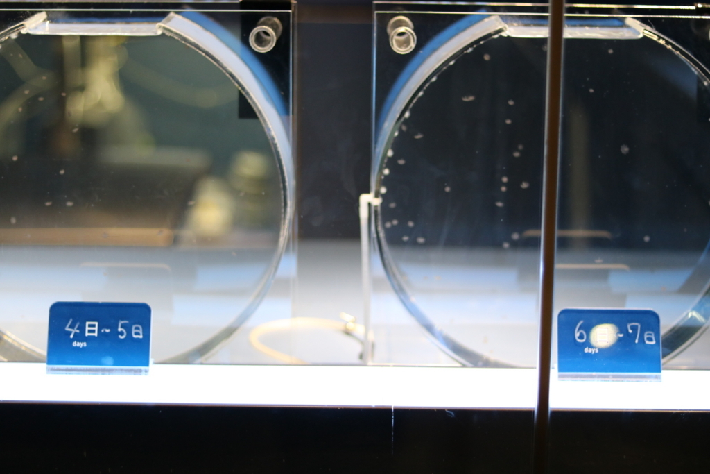 f:id:coden:20180320102704j:plain f:id:coden:20180320102704j:plain