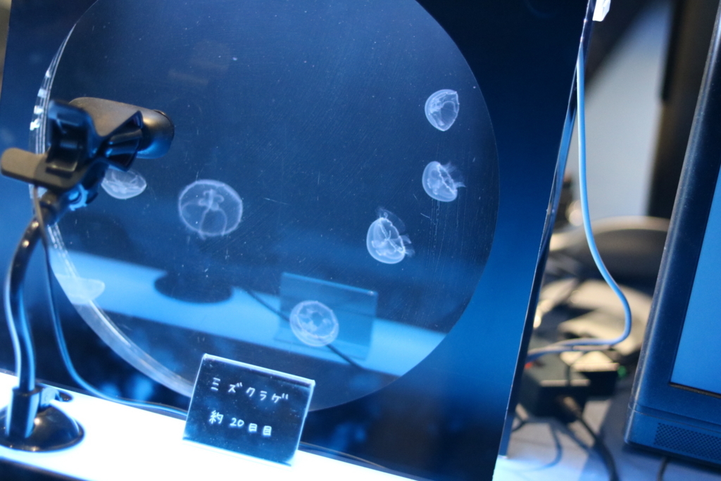 f:id:coden:20180320104423j:plain f:id:coden:20180320104423j:plain