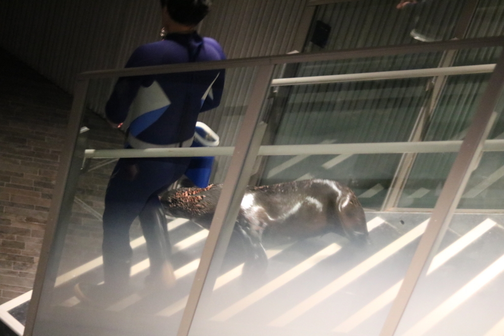 f:id:coden:20180320112007j:plain f:id:coden:20180320112007j:plain