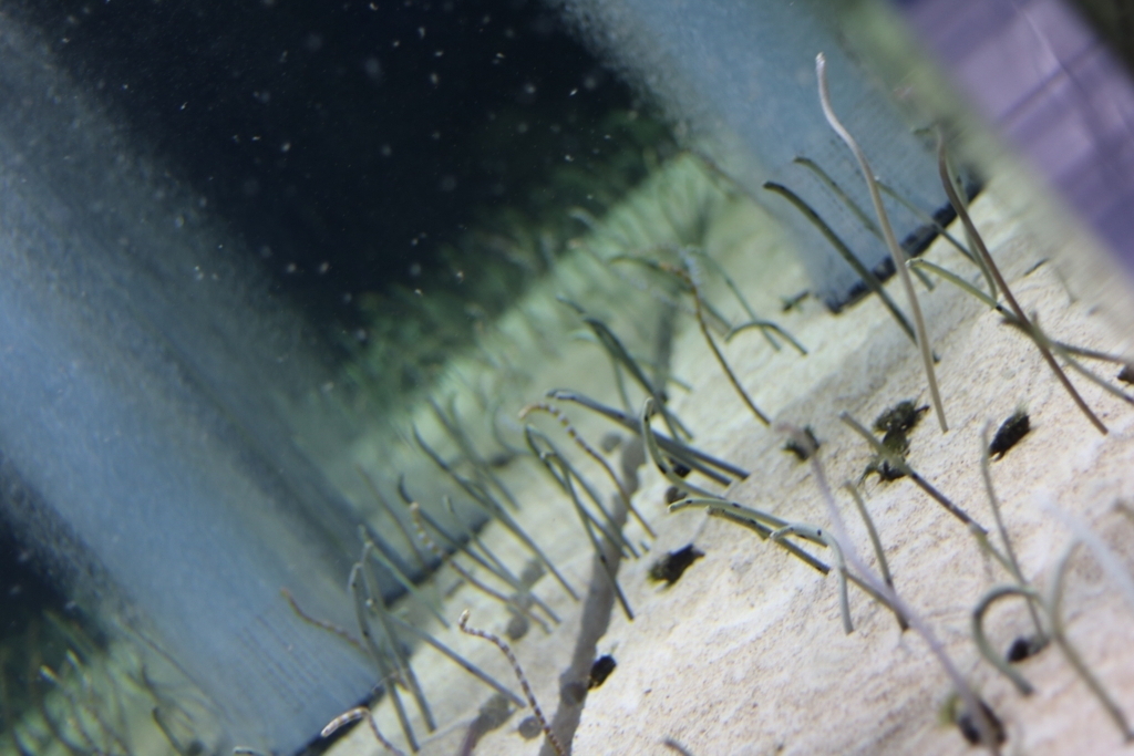 f:id:coden:20180320113809j:plain f:id:coden:20180320113809j:plain